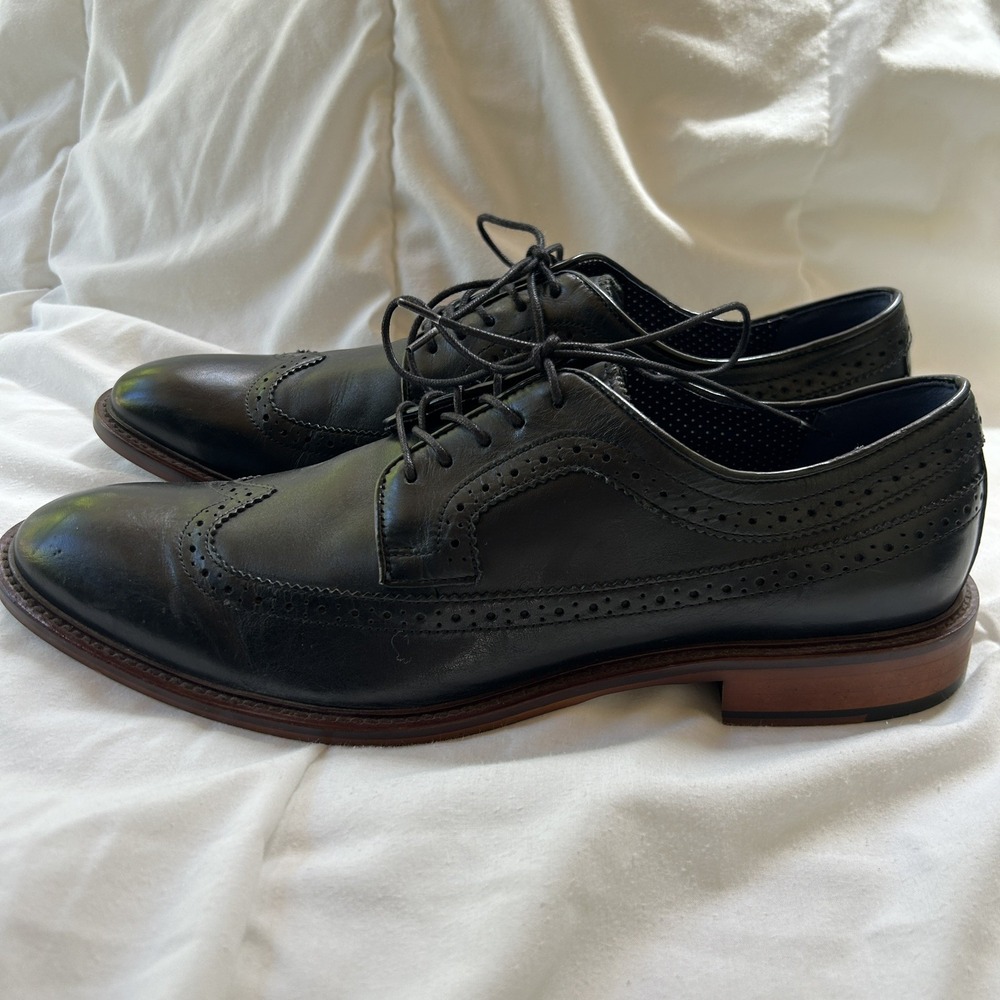 Aston Grey Men's Lovorwen Wingtip Oxfords Size 11.5 Dress Shoes Black‎ Leather